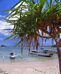 Outriggers, Nusa Lembongan - Indonesia by Penny Murphy 
